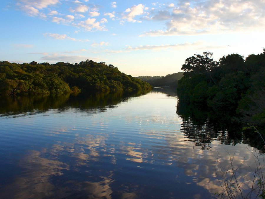 Dawn over a forest-lined river in Jau National Park, Amazonas, Brazil
